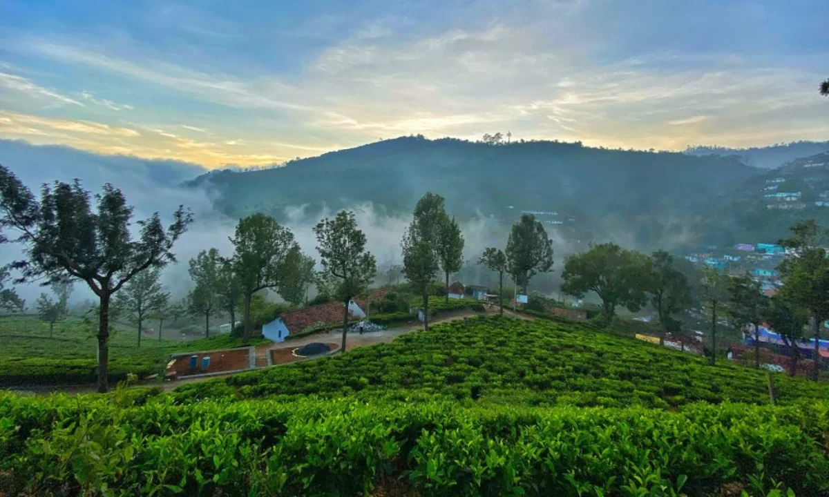 How to Reach Ooty from Kolkata